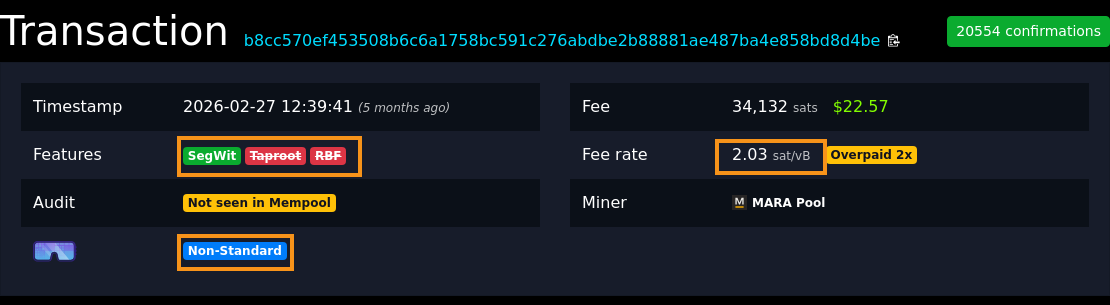 mempool.space transaction page for Martin's transaction. Features row shows SegWit ticked, Taproot struck through, RBF. The transaction is flagged Non-Standard. Fee rate 2.03 sats per vByte, 20,554 confirmations.